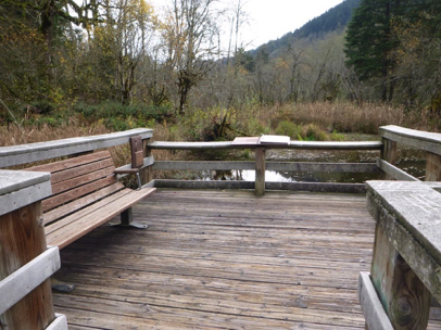 Bench and informational picture book at wetland overview – one of three overviews – boardwalk – animal plaque